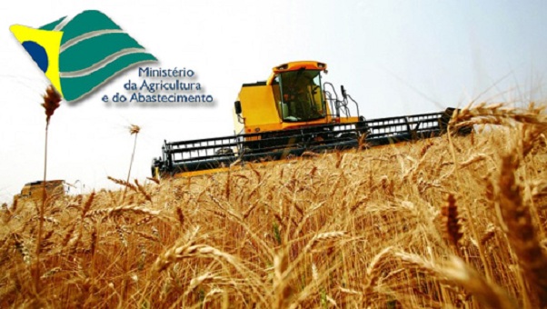 concurso-ministerio-agricultura-abastecimento-2013