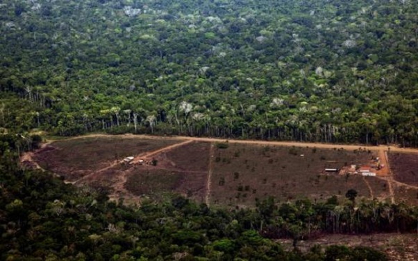 desmatamento-da-amazonia-sobe-imazon