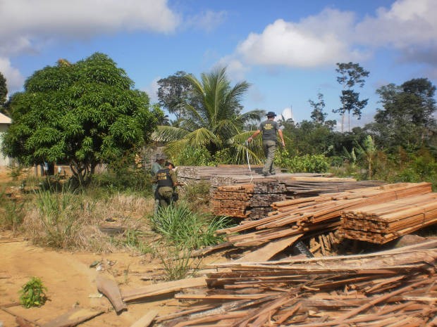 ibama-operacao-onda-verde