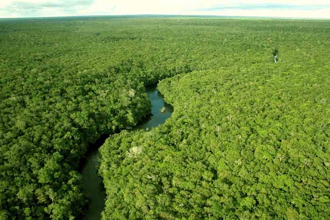 floresta-amazonica-a-maior-do-mundo