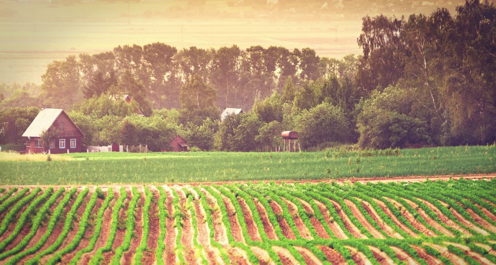 Meio Rural Projeto Rural Sustentável promove Dias de Campo em Tailândia - Portal ...
