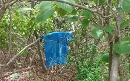Equipes encontram camiseta azul que pode ser de fugitivo de presídio do RN