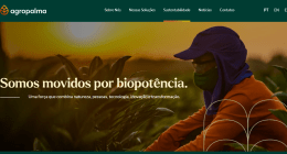 Documento apresenta resultados financeiros, operacionais, ambientais e sociais referentes aos anos de 2022 e 2023 (foto: divulgação Agropalma)